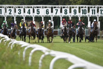 WROCLAW, POLAND - SEPTEMBER 4, 2016: Race for the 3-year and older horses Group IV Racecourse WTWK