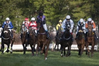 WROCLAW, POLAND - APRIL 24, 2016: Race with fences for 4-year old horses a Racecourse WTWK