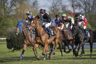 WROCLAW, POLAND - APRIL 24, 2016: International steeplechase for 5-year old and oldest horses at