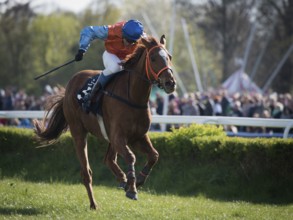 WROCLAW, POLAND - APRIL 24, 2016: International steeplechase for 4-year old horses at Racecourse