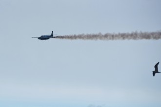 GDYNIA, POLAND - AUGUST 12, 2017: Plane TS-11 Iskra during the air show Aerobaltic 2017