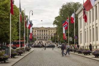Karl Johans gate, the main street in Oslo, with the Royal Palace seen at its end. The national