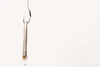 Rolled cigarette on a fishing hook, symbolizing the dangers of tobacco addiction and the lure of