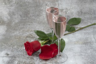 Two glasses of champagne and a red rose isolated on a gray table