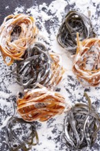Pasta with carrots and spinach on a floured table, space for text