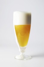A glass of beer with foam running off, copy space