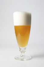Glass of beer on a white background isolate