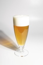 Glass of beer with high foam on white background, copy space
