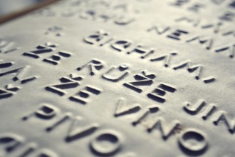 Word rose in Czech language embossed writing letters for blind people used before Braille writing