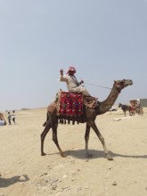 A photogenic Bedouin on a camel poses for tourists near the Great Pyramids of Giza, in the sands of