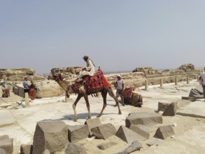 A group of Bedouins actively seek out tourists to ride their camels for a fee near the Great
