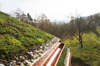 Wooden house with extensive green living roof covered with vegetation Liberec Czech republic