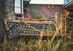 An old wooden bench standing grass in Leegebruch, Brandenburg, Germany
