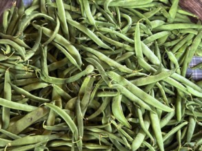 A group of peas exhibited at the Hudac Farm Stand, in Saint Albans, Vermont, New England, USA