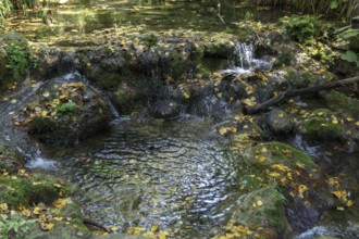 Ronda, malaga, spain Small stream in an autumn forest, water flowing over moss-covered rocks and