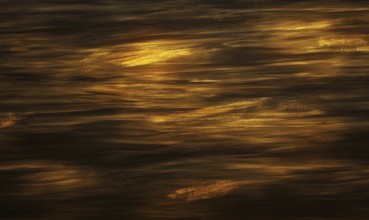 The image is of a body of water with a brownish hue. The water appears to be rippling and has a