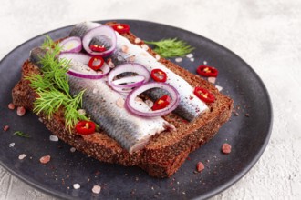 Sandwiches, herring fish, on dark rye bread, sprinkled with onion, chili pepper and herbs, on a