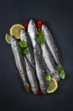 Fresh Herring fish, ready to cook, with herbs and spices, on black slate, in the kitchen