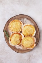 Scallop, baked in shells, with cheese and spices, on a cutting board, homemade