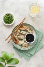 Gyoza Japanese dumplings, fried, with sauce, green onion, and sesame seeds, natural color, light