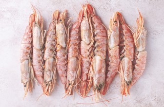 Freshly frozen shrimps, Argentine shrimps, langoustines, neatly laid out on the surface, top view
