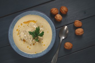 Satsivi, Georgian dish, chicken in nut sauce, cold appetizer, on a wooden table, no people,