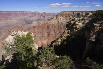 The Grand Canyon is a steep, approximately 450 kilometers long gorge in the north of the US state