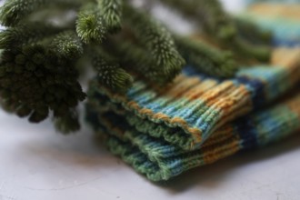 Knitted socks with pine green