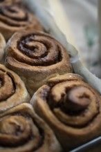 Fresh baked cinnamon rolls, close-up