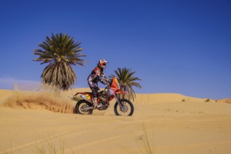 Sahara, desert, Algeria, dune, sand, expanse, landscape, panorama, endless, danger, heat,