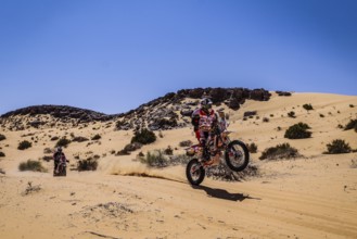 Sahara, desert, Algeria, dune, sand, expanse, landscape, panorama, endless, danger, heat,