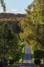 Holzweg zum Süllberg, mountain village Lüdersen, City of Springe, Hanover Region, Lower Saxony,