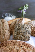 Freshly baked artisanal bread featuring various types and textures, displaying a rich culinary