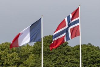 The national flag of Norway and the flag of France hoisted at the Palace Square in Oslo for the