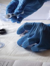 Stambul, Turkey October 21st 2025 Hands in blue gloves preparing a syringe and medication for