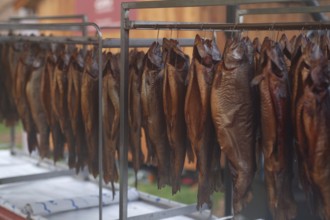 Row of freshly smoked fish, Bavaria, Germany