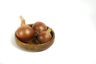 Organic onions seen from the front on a white background with copy-space