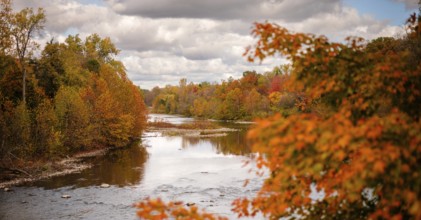 Vibrant autumn trees along a river under a cloudy sky along the Thames River Valley in London,