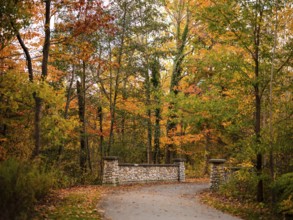 Pathway leading to a stone bridge with trees in autumn colors along the Thames Valley Parkway in