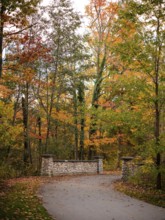 Stone bridge on a path surrounded by trees in brilliant autumn hues along the Thames Valley Parkway