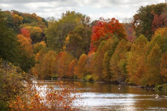 A river gently flowing through a landscape of colorful autumn trees in the Thames River Valley,
