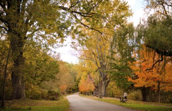 Pathway with benches and trees exhibiting autumn colors along the Thames Valley Parkway in London,