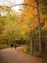 Couple walking on a winding path through a serene forest with autumn colors along the Thames Valley