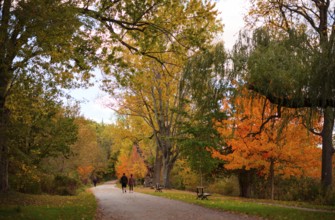 People walking along a path with autumn trees and benches along the Thames Valley Parkway in