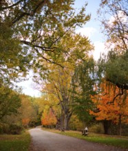 Scenic path with benches beneath trees in autumn hues under a blue sky along the Thames Valley