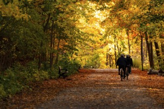Cyclists riding along a tree-lined path during autumn with vibrant orange foliage along the Thames