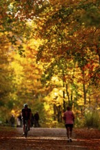 A person cycling and another walking on a trail with vivid autumn colors on the Thames Valley