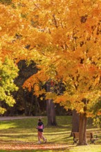 Two people jog under a vividly colored autumn tree along the Terry Fox Parkway in Greenway Park,