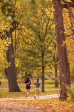 Two runners on a path surrounded by colorful autumn trees along the Terry Fox Parkway in Greenway