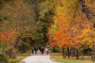Group of people enjoying a walk along a park path lined with colorful autumn trees on the Thames